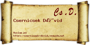 Csernicsek Dávid névjegykártya