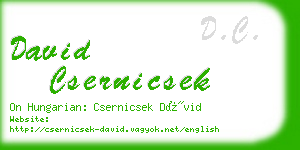 david csernicsek business card